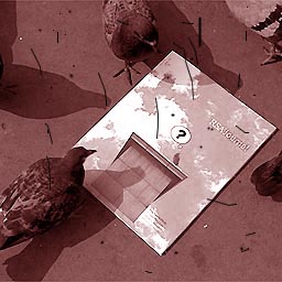 pigeons are reading, oh god !